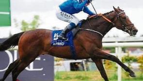 The Master of Ballydoyle, Aidan O'Brien  is set for another successful year at the Derby, a race he has recently dominated