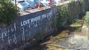 Portlaoise can be 'a shining example' following €9 million Low Carbon town boost