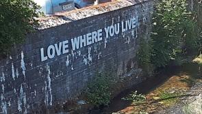 Springboard scheme for Laois Tidy Towns teams launched