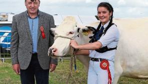 Celebration of livestock and produce at Clonaslee Show
