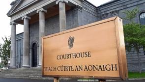 Portlaoise man is jailed for cruelty to horse during Tipperary sulky race 