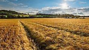 DR EDDIE MURPHY: Farmers and their families face significant stress
