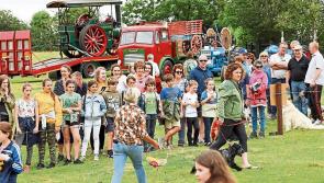 Two more festivals in Laois announced for this summer