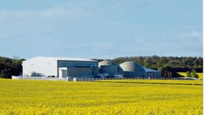 Bord na Móna  claims 1,400 'Climate Solution' jobs will come to Midlands