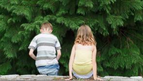 IT'S JUST A PHASE: Peace at last between brother and sister
