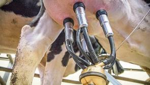 Laois power outages playing havoc with robotic milking machines