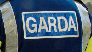 Man arrested after drugs valued at over €3,000 seized in Laois