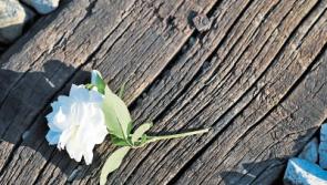 IT'S JUST A PHASE: Dealing with mental health issues