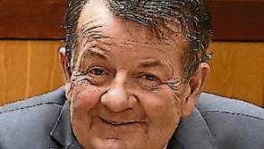 Trees clog &lsquo;Third World rivers&rsquo; in Laois claims councillor