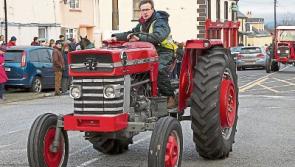 Get out and active in Laois on New Year's Day