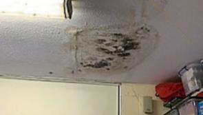 Public meeting called to take action about overflowing toilets, leaking roofs, bad heating at Laois school