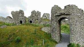 Call for more bins after Rock of Dunamaise from Laois councillor who cleans takeaway rubbis
