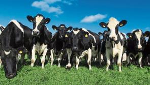 Laois the venue for big farmers conference in Portlaoise