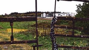 Laois jobs still in pipeline as firms commit to new plants