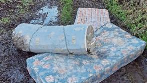 Nothing left under mattress for popular amnesty in Laois