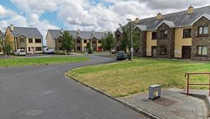 Updated on delay over two Stradbally housing estates demanded