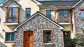 ‘Vulture nightmare’ nears end at Laois Celtic Tiger estate near Kildare border a decade after the crash