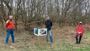 Art in the great outdoors around Laois