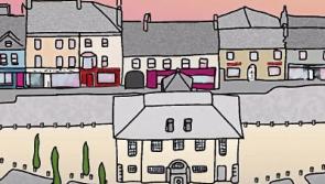 Abbeyleix taking big steps toward climate change in Laois