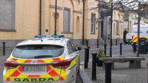 Man slept in cars in Laois town