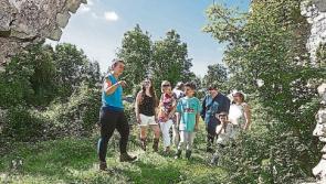 Open the Door to Laois Heritage during National Heritage Week 