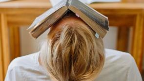 Back to school: How to create a study plan for the school year ahead