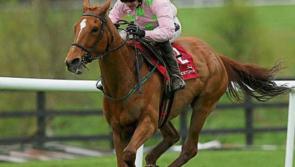 Cheltenham results: Day 2 racing, Results on Wednesday, March 13, 2019