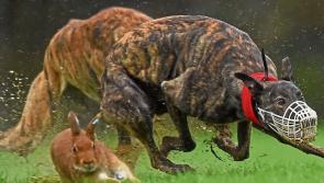 Laois club puts final preparations in place for annual fixture
