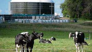 Huge potential in biogas to 'bring jobs across the Midlands’ says Laois TD Brian Stanley