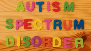 Department of Education relents on refusal to equip Laois school's new autism unit claims TD