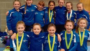 Gymnastics clubs the big winner in grants for sports equipment in Laois