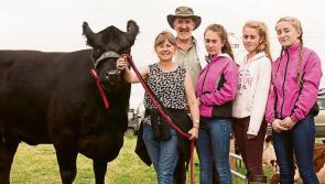 Ossory Agricutultural Show in Laois 2017 -  summer date is set for the big event
