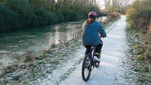 Councillor claims riverside cycle lanes could ease traffic at Laois school
