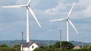 Pearl water mussel forces delay of Laois windfarm construction