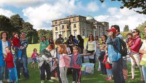 Bee Movie, High Nellies, craft beer and lots more Heritage Week fun in Laois