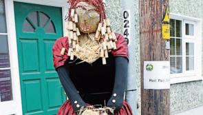 What's on in Laois this weekend