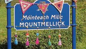 Plans are underway for CCTV  cameras in Mountmellick  to catch criminals