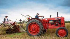 All roads lead to Laois for the threshing good time