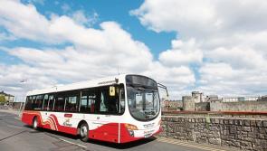 Parents in Laois under 'incredible strain' over school transport