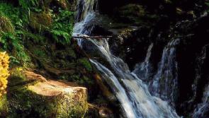 Get your boots on for the Slieve Bloom Walking Festival in Laois and Offaly