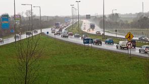 BREAKING: Part of Laois Dublin Limerick M7  closed due to crash and cattle on the road
