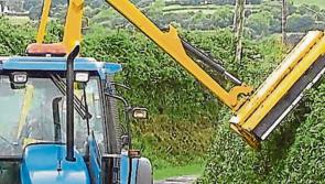 Laois road users  are suffering car damage due to hedge overgrowth