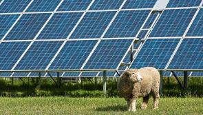 Laois solar farms appealed to An Bord Pleanala