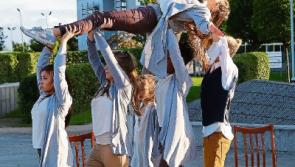 Culture night hit the right notes around Laois