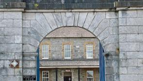 Rampaging children suspects in wanton vandalism in Portlaoise estate