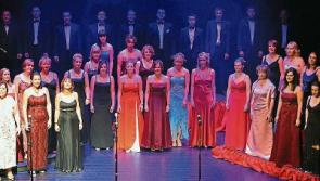 Support fundraisers for Portlaoise Musical Society's Hello Dolly production