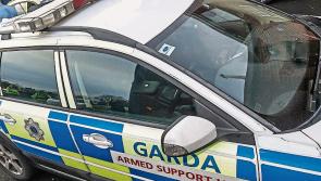 Laois crime could benefit from Carlow Kilkenny garda sting