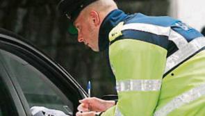 Sinn Féin TD warns of drop in police numbers to fight crime in Laois & Offaly