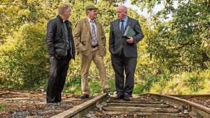Full steam ahead for Stradbally shed