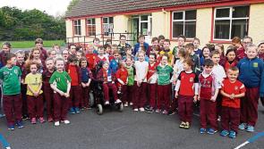 Help support a Laois national school